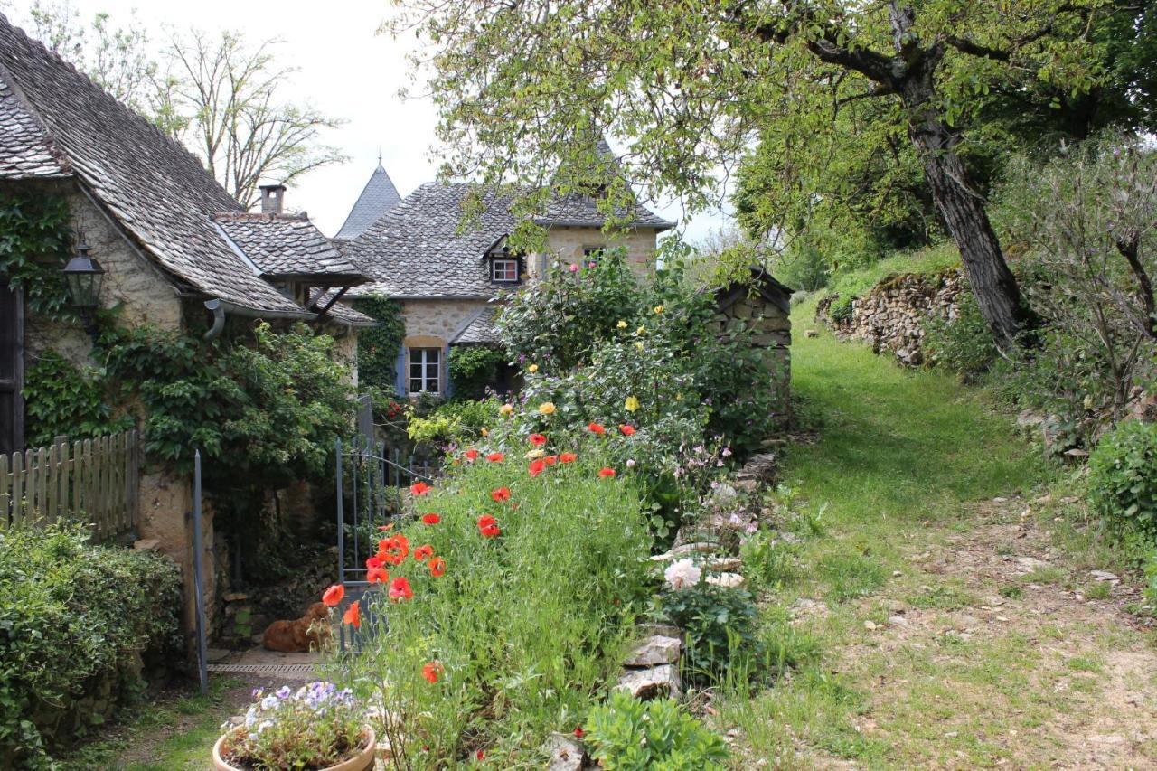 Les Terrasses De Labade Gite Et Chambres D'Hotes Coubisou Екстер'єр фото